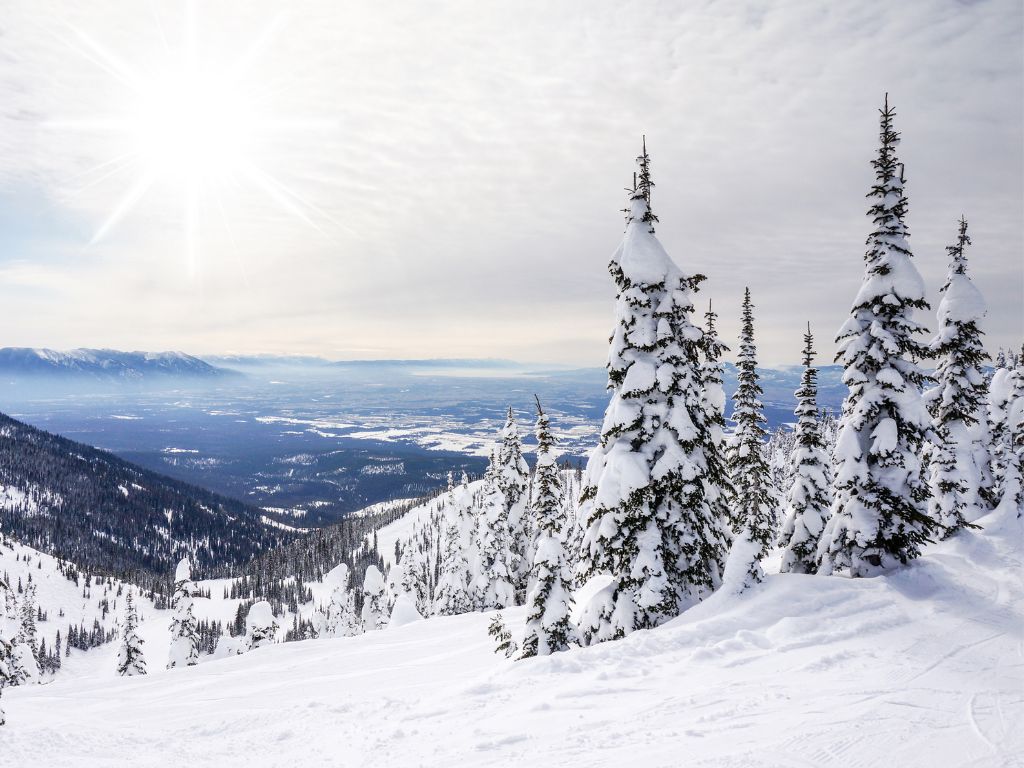 Things To Do Why Visit Big Mountain, Montana